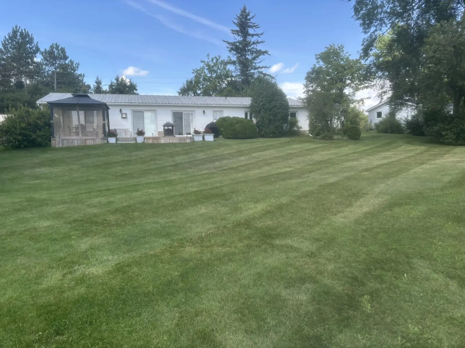 Lawn Health Program